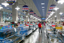 7년 갈등 여수수산물특화시장 해법 찾나