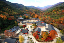 구례 화엄사서 27일부터 화엄음악제