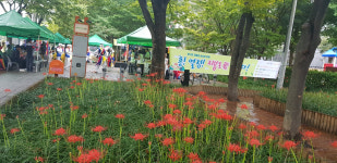 제3회 지봉로 상사화 축제 성료