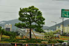 장성 찾은 관람객, 확 트인 도로에 호평