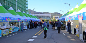 고흥유자·석류축제 성공 개최 평가… 해외 수출 판로 확대 기대