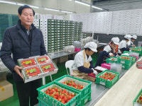 지속가능한 농촌 만든다) 전국 최고의 딸기 생산지 명성 이어갈 터