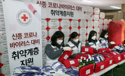 테스트 기사