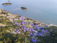 맛·예술 테마로 1004섬 미래 준비