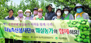전남농협, 곡성 매실로 매실청 나눔실천