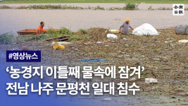 농경지 이틀째 물속에 잠겨 전남 나주 문평천 일대 침수