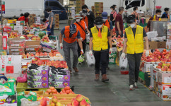 코로나19 예방, 과일 도매시장 방역