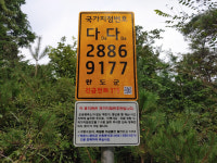 네이버 검색 결과 사진 6