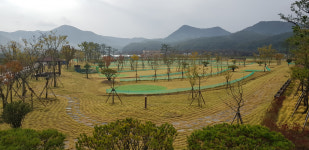 영광 불갑면 방마리 불갑테마공원에 파크골프장 개장