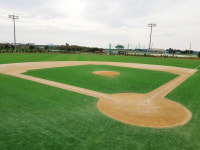 무안스포츠파크 야구장, 인조잔디로 새 단장