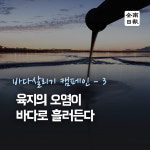 바다살리기 캠페인-3 육지의 오염이 바다로 흘러든다