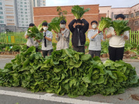 정광중, 직접 재배한 배추 송광종합사회복지관·금선사에 기부