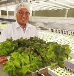 흙과 햇빛 없이도 채소 재배…영농 새바람