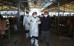 설맞이 강진우시장 대목장대성황