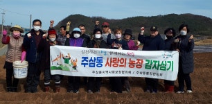 여수시 주삼동 지역사회보장협의체, 사랑의 농장 감자 심기