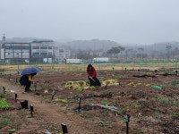 순천시, 도시텃밭 3곳 정식 개장