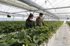 창농, 다시 생각해도 탁월한 선택이었어요