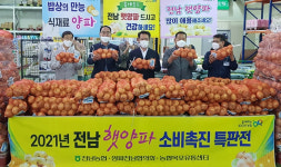 전남농협, 목포농산물유통센터서 햇양파 소비촉진전