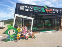즐기면서 배워가는 영광 모시 떡 아카데미 운영
