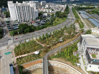 광양시, 운전면허시험장 주변 미세먼지차단숲 조성