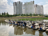 토종어류 자원 보존 광양시, 동·서천에 어린 동남참게 방류