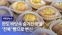 완도 바닷속 숨겨진 보물 전복 빵으로 변신