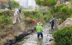 나주 남평읍 기관·사회단체, 환경정화활동 구슬땀