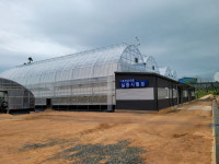 영암군, 아열대작물 실증시험포 조성