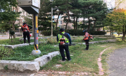 서구, 추석맞이 생활권 환경 정비