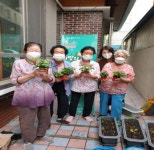 서구 힐링 원예 하시러 경로당 오세요