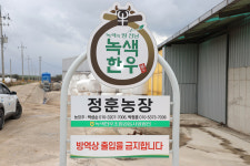 전국 최고 무안 한우 우뚝…한 마리 7000만원 시대 열었다