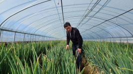 장성 학사농장·보성 청우다원>농산물 재배·유통~녹차재배 친환경 유기농법 고수