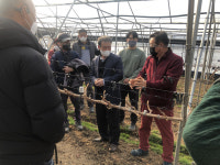 강진군, 샤인머스켓 농업인 전문교육