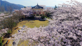 장흥군 예양공원, 휴식·문화 복합공간 새단장