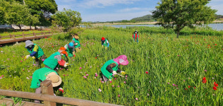 무안군 몽탄면 새마을부녀회, 식영정 정원조성