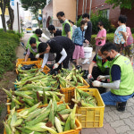 광주 우산 주공3단지 옥수수 나눔행사
