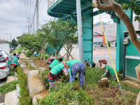 무안군 청계면 남·여새마을협의회, 태극기 달기·환경 정비활동