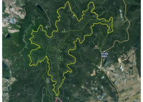 강진군, 보은산 11.3㎞ 트레킹길 내년까지 조성