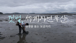 갯벌, 세계자연유산 생명을 품는 보금자리