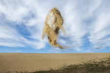 이세현 작가, 베니스비엔날레 병행전시 주목