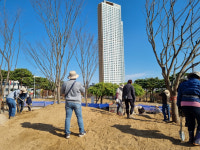 광양시, 시민 참여로 광양시민광장 조성