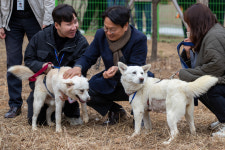 文 전 대통령 풍산개 곰이 송강 광주에 보금자리
