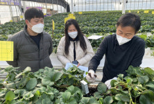 전남농기원, 농가경영 개선사업 10억원 지원