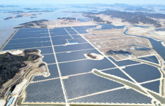 전력 과잉공급 애물단지 전락한 ‘전남 태양광‘