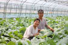 [전남일보] 기획특집>“농산물 아닌, 농촌을 팔아야겠다 맘 먹었죠”