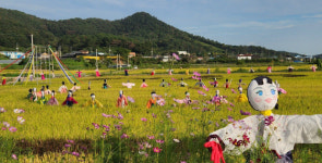 순천시 별량면 직접 만든 허수아비로 전통 지켜요