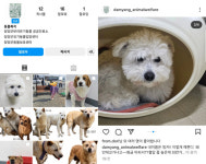 담양동물보호소 시설 축소에 보호견 무더기 안락사 우려