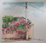 꽃으로 피어난 ‘수채화 어반스켄치’…김경민 개인전