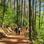 “푸르른 5월, 백운산자연휴양림에서 쉬세요”