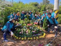 나주시 금천면 고동사거리 꽃밭 변신